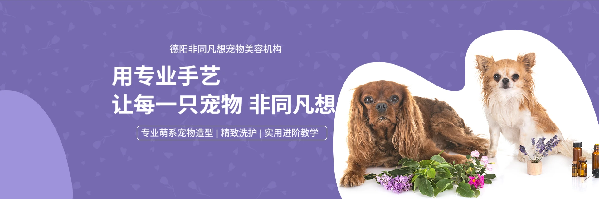 德阳非同凡想宠物美容机构