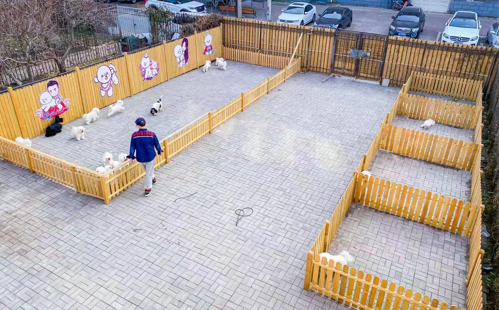 宠物区域