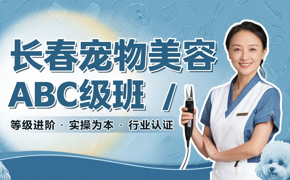 长春宠物美容ABC级班