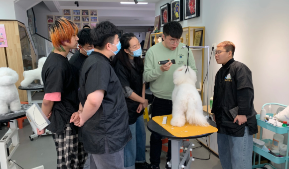 长春漫步宠物美容中心教学老师强不强？附师资详情介绍！